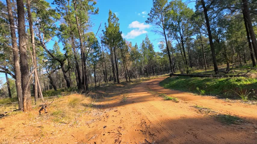 Wide angle view of a red dirt track winding through Australian woodland under blue skies.