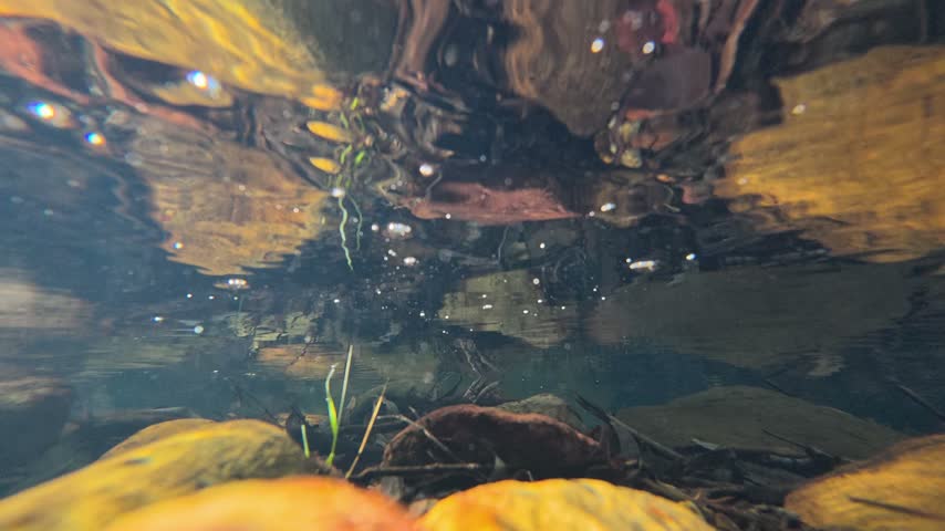 Underwater shot captures river stones and water surface reflections in Warrumbungle, Australia.