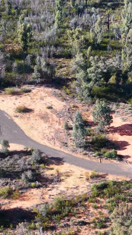 High angle aerial shot moving over eucalyptus scrub and a rural road in Australia.