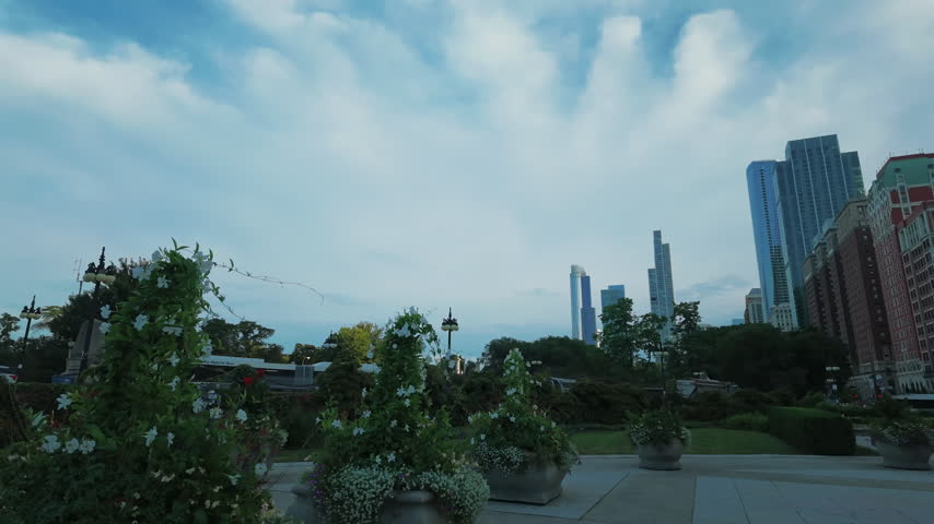 Flower planters urban garden with white blossoms, hedges and lawn in a Chicago park, downtown towers and skyscrapers rising behind under a cloudy blue sky.