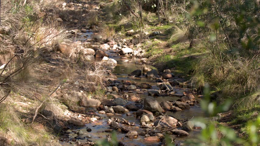 Natural rocky creek flowing through sunny Australian bushland in Warrumbungle National Park.
