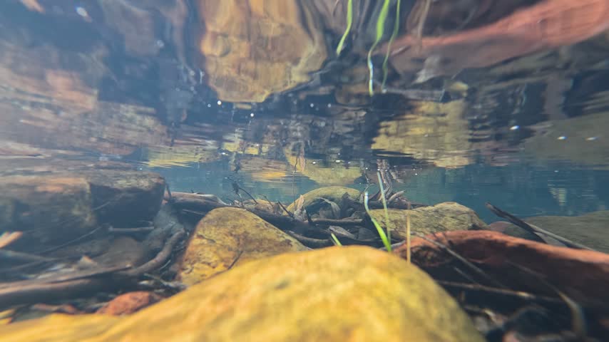 Camera rises from underwater rocky stream revealing a sunny forest creek in Warrumbungle, Australia.