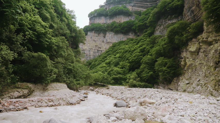 Rushing Mountain River Flows Through Rocky Canyon In Wilderness Green Forest