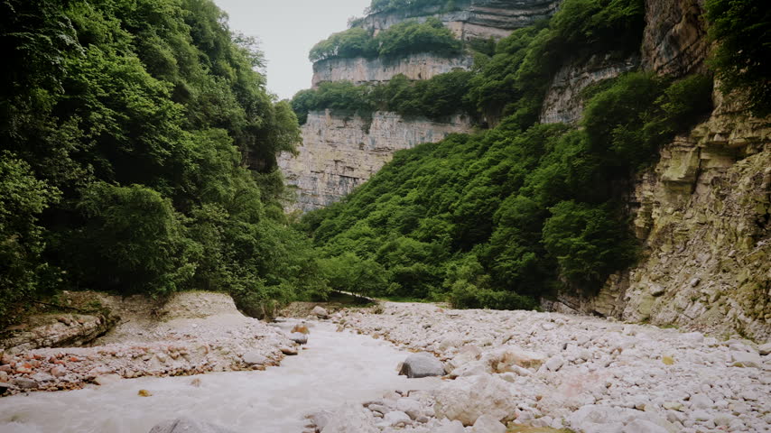 Pristine Mountain Creek Flowing Through Deep Forest Canyon Gorge In Wilderness