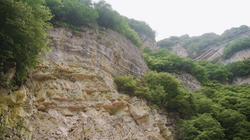 Layered Sedimentary Rock Cliff Face And Forested Mountain Slope In Wilderness