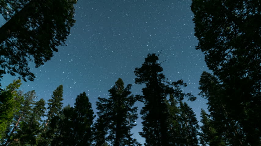 Timelapse of night sky over Sequoia National Park in California, USA