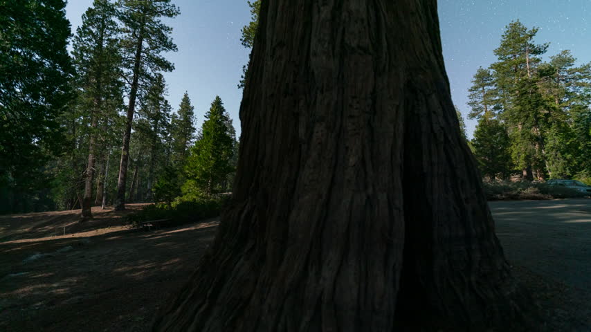 Timelapse tracking shot of night sky over Sequoia National Park in California, USA