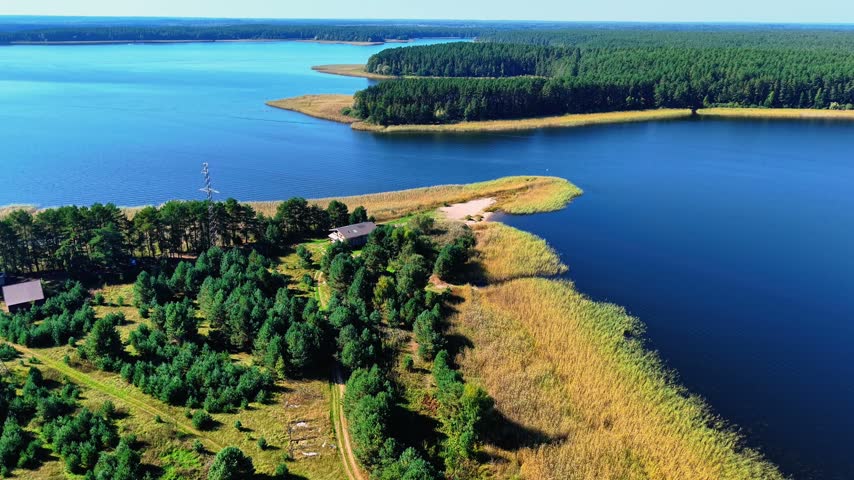 Aerial view of forested shoreline meeting calm waters of tranquil lake surrounded by greenery