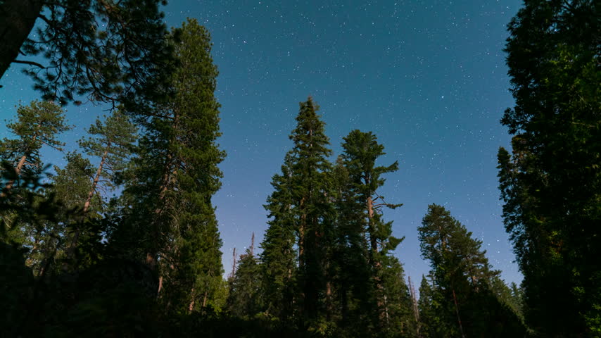 Timelapse of night sky over Sequoia National Park in California, USA