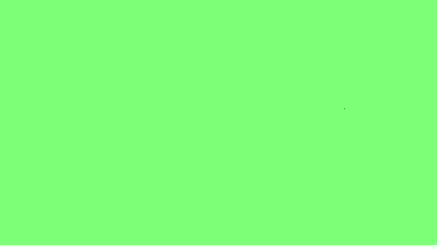 This video shows the word Belgium written in a metallic bronze textured font, repeating across a flat and bright lime green background surface