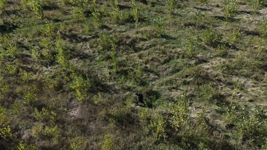 Day of fishing on the carrion river in palencia, spain. High angle drone perspective following a fisherman walking through a lush green field to reach the sunlit banks of the carrion river