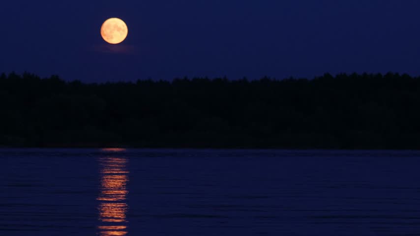 Bright Full Moon Over a Dark Forest and River at Night