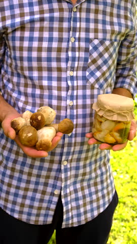 Wild mushrooms in a hand. Selective focus. Nature.