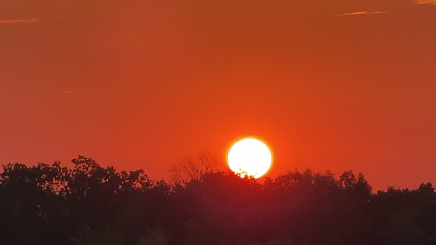 Fiery orange sun setting below the dark forest trees horizon during vivid golden hour twilight