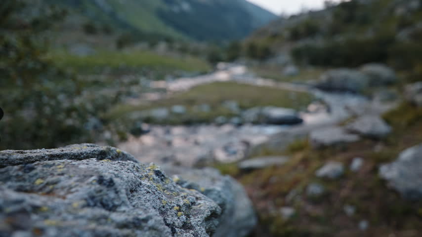Foreground rock drifts out of focus to reveal a narrow creek winding through a green valley at dusk.