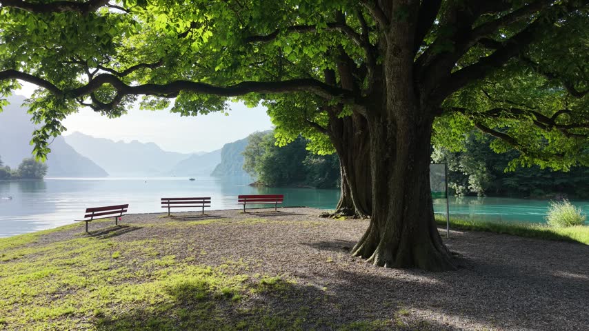 Walensee lakeside benches sit under trees near Weesen, Switzerland, drone pushes toward turquoise water, mountains and misty alpine valley.