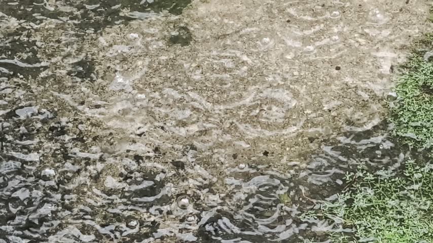 Heavy Rain Pouring into Puddle