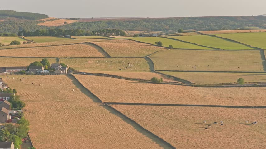 Harvested agricultural fields and grazed pasture form patchwork upland farmland around Stocksbridge, with dry stone walls, hedgerows, isolated farm buildings and rolling Pennine terrain, drone forward