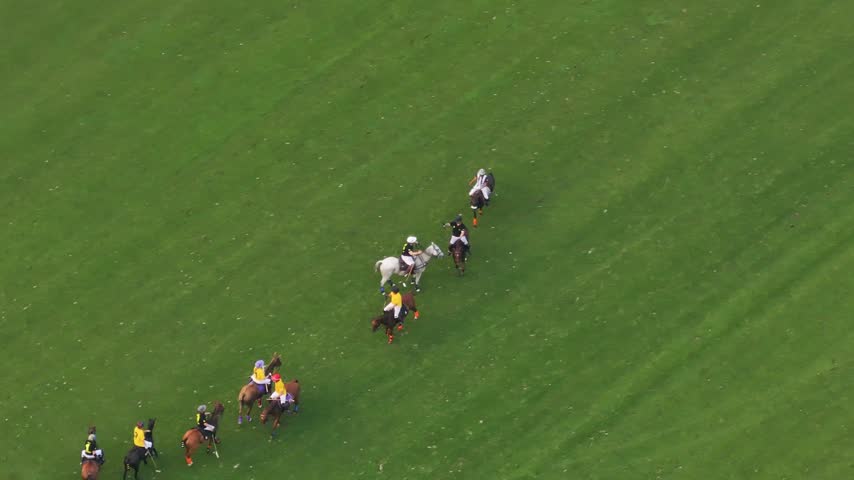 High angle view of professional players on horseback competing in a polo match. Jockeys maneuvering their horses across the green grass field