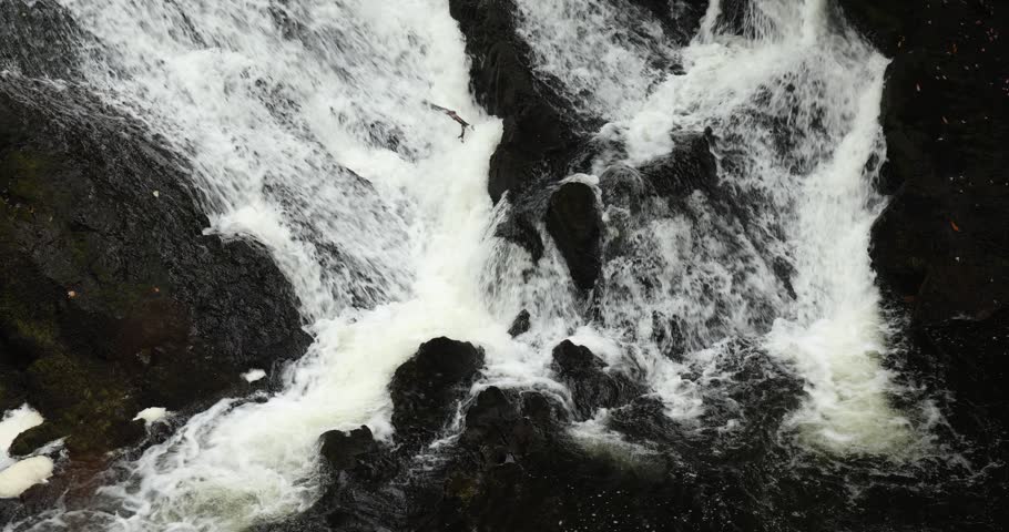 Swallow Falls near Betws-y-coed, Snowdonia (Eryri) National Park, Wales