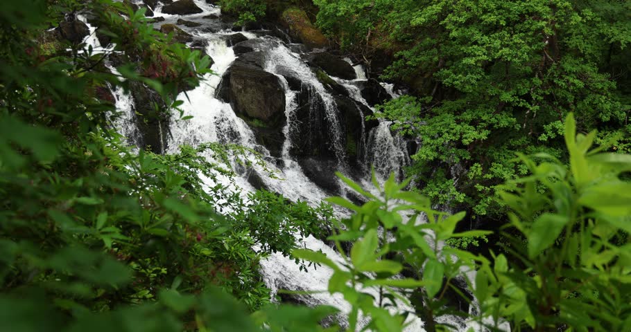 Swallow Falls near Betws-y-coed, Snowdonia (Eryri) National Park, Wales