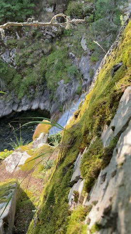 Mossy Rocky Canyon Wall Above Deep Forest Water
