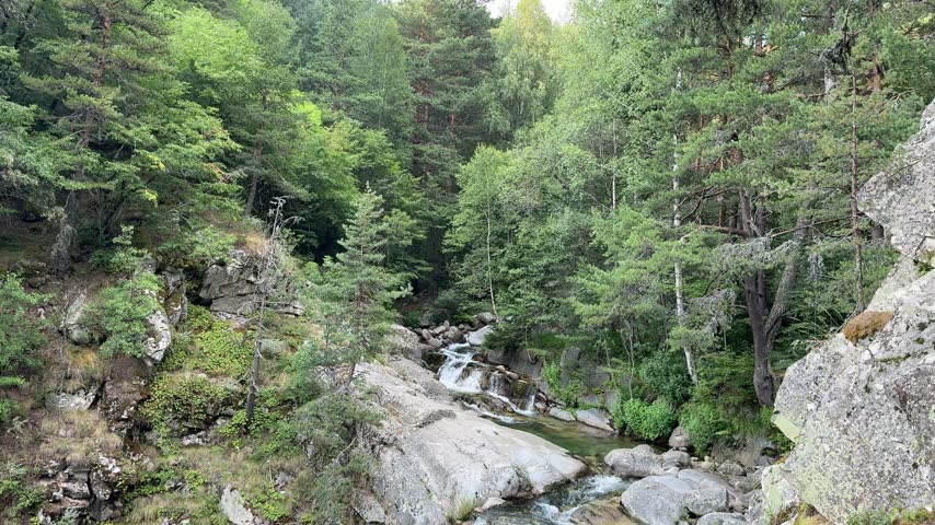 Wooded Ravine Stream Flowing Through Rocky Forest Landscape