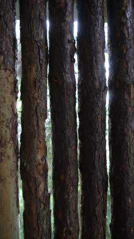 Static shot of rustic wooden fence with forest view through gaps