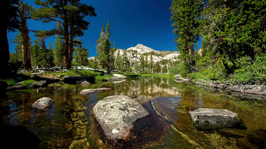 Flowing river surrounded by tall trees and vibrant foliage reflects mountains in the background. Natural landscape with rocks and clear water invites exploration.