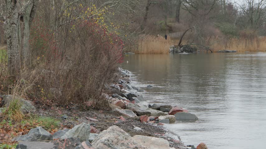 People walking on path beside calm lake with rocky shore and barren autumn trees under gray sky in cinematic footage.