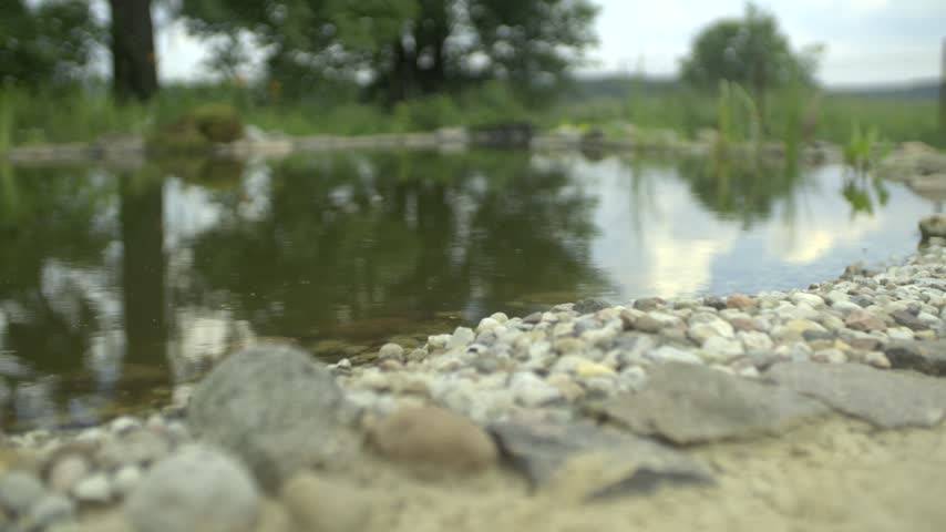 Close up view of tranquil pond surface with reflection of trees and sky alongside decorative pebble shoreline in backyard garden.