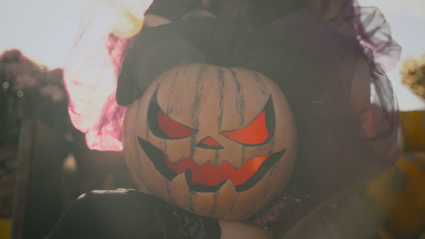 happy beauty young woman witch with orange pumpkin carved Jack o Lantern. fantasy smiling face mystery girl in purple dress black hat. Halloween holiday party concept harvest pumpkins Thanksgiving Day