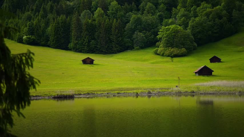Peaceful Lake Surrounded by Trees
