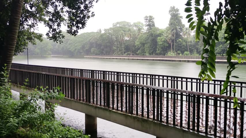 Footage of a wooden bridge in a green park overlooking a calm lake on a cloudy day with lush trees in the background.
