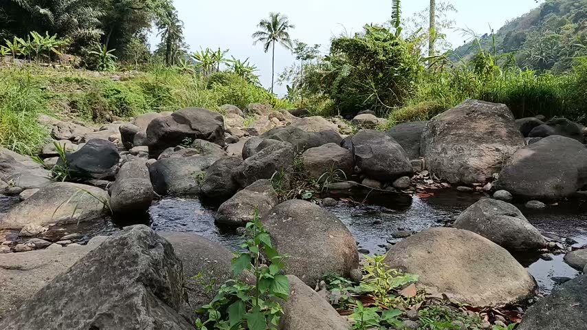 Rocky Mountain River with Clear Flowing Water in Natural Wilderness