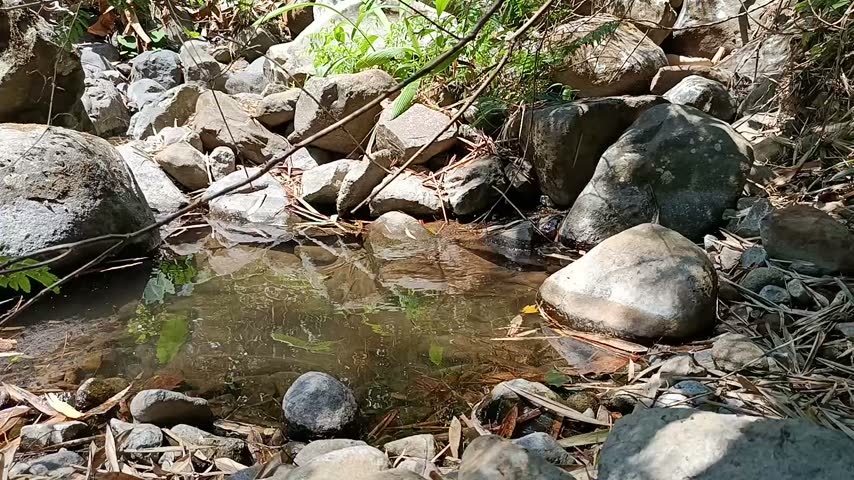 Rocky Mountain River with Clear Flowing Water in Natural Wilderness