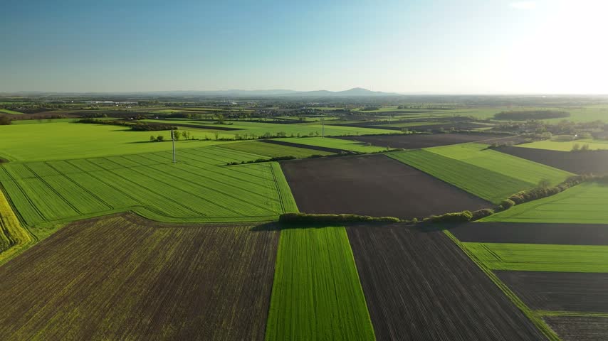 Dirt path leading through green wheat fields toward the horizon at sunset on a summer evening