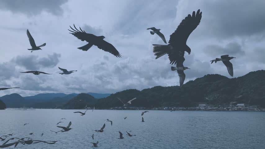 Seagulls flying around the Funaya boathouses in Ine, Kyoto