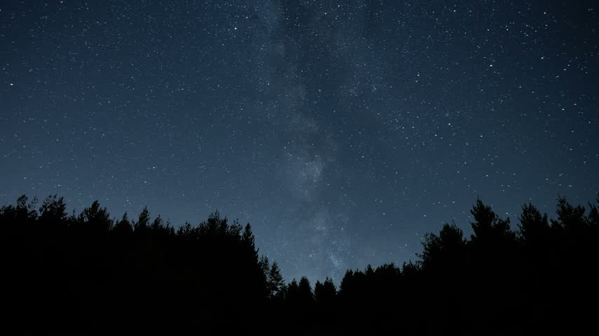 The bright, colorful Milky Way galaxy in the night sky above a forest and the silhouettes of fir trees.