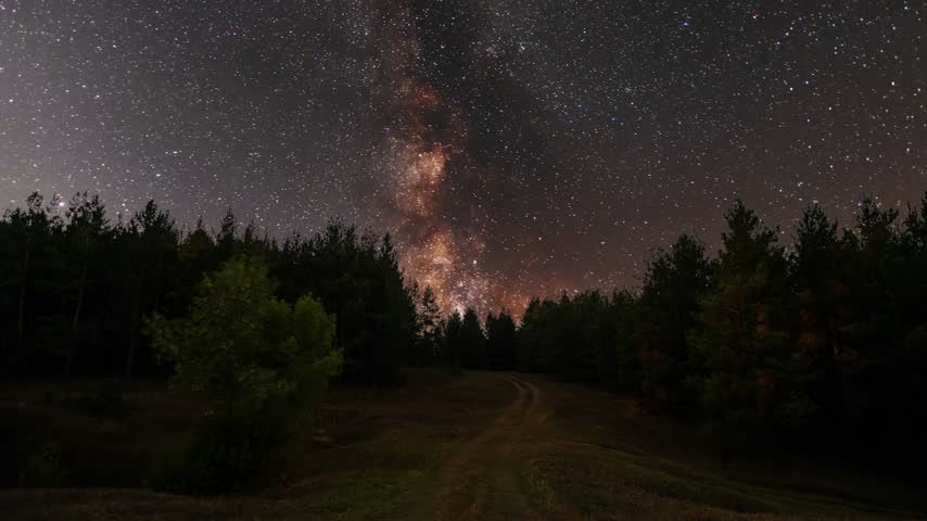 The bright, colorful Milky Way galaxy in the night sky above a forest and the silhouettes of fir trees.