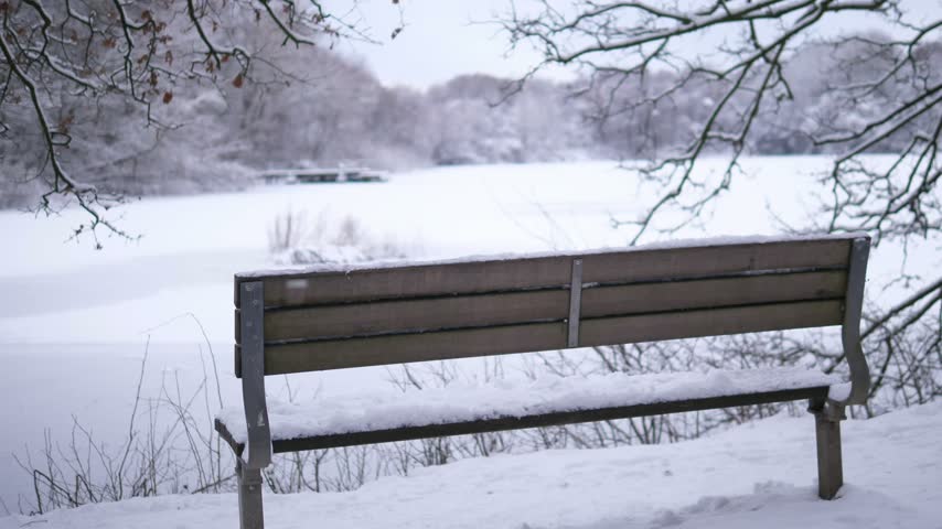 Peaceful winter park landscape covered in fresh snow, featuring a snow-covered wooden bench in the foreground and a frozen lake in the background