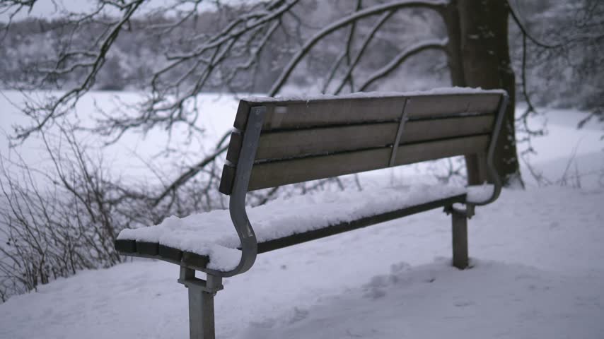 Peaceful winter park landscape covered in fresh snow, featuring a snow-covered wooden bench in the foreground and a frozen lake in the background