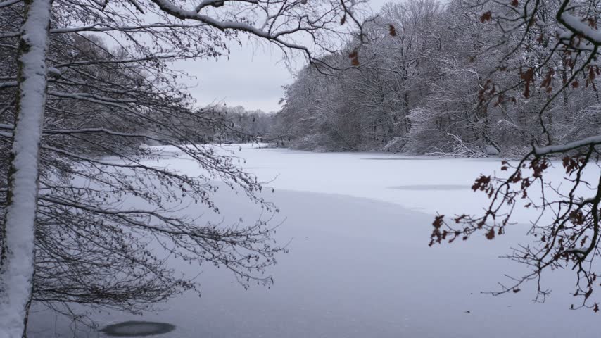 Beautiful winter landscape of a frozen lake in a snow-covered park, surrounded by trees covered in fresh snow