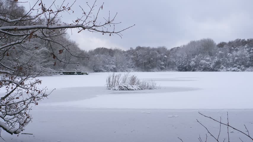 Beautiful winter landscape of a frozen lake in a snow-covered park, surrounded by trees covered in fresh snow