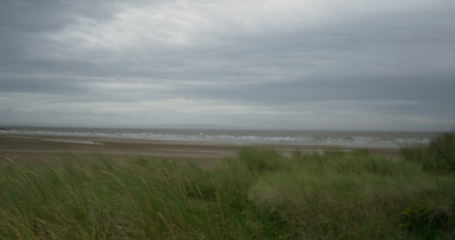 Cinematic gimbal shot of the beach with marram grass in the foreground