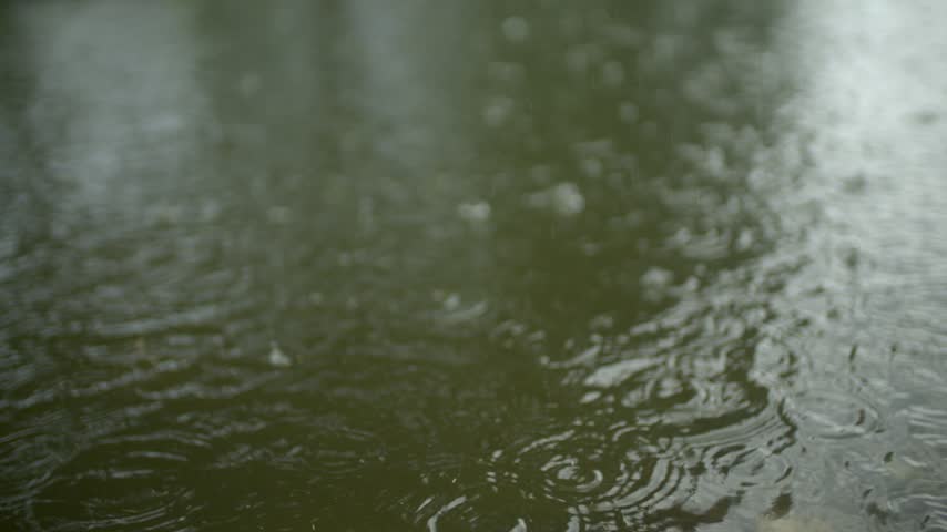 Raindrops hitting murky water creating ripples and splashes outdoors on a cloudy day.