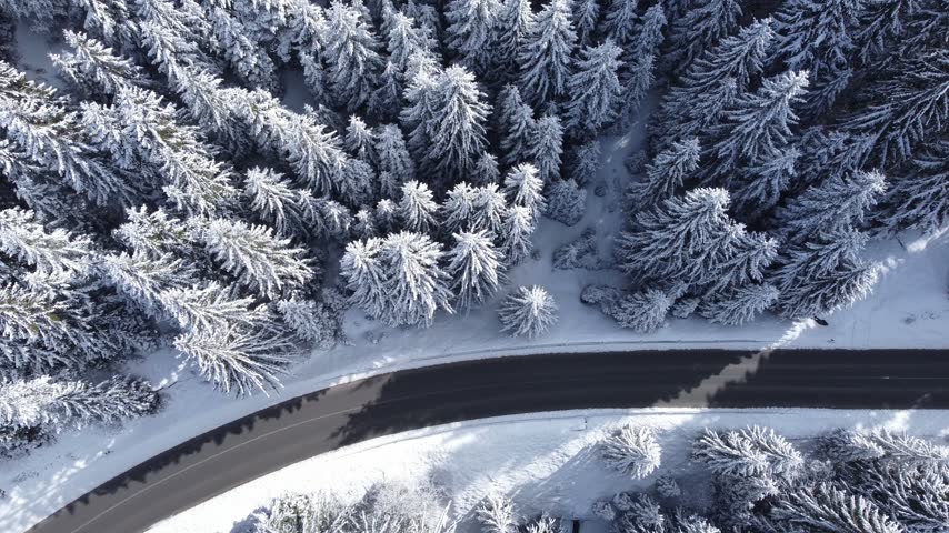 White car driving on a curved mountain road through a beautiful snowy pine forest