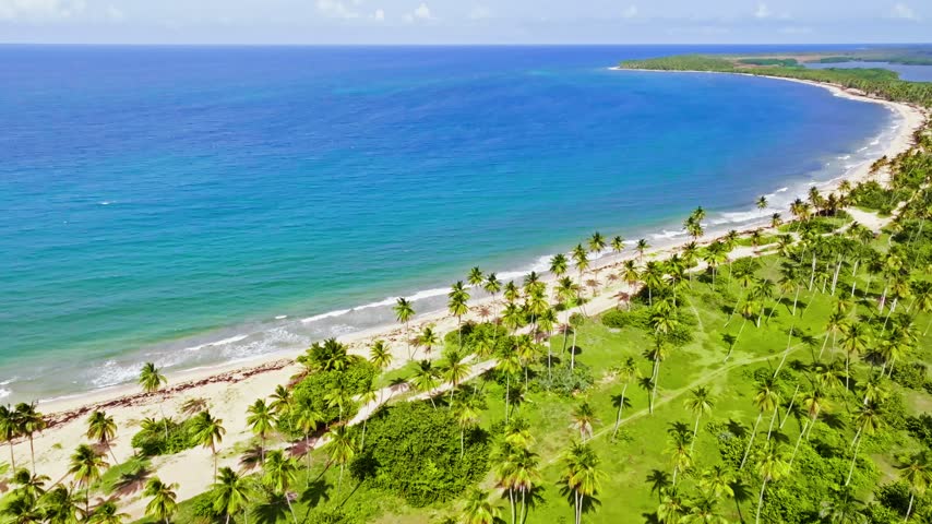 Top-down view of a Bahamas beach by the blue sea. White sand, beautiful beach, tall palm trees. Relaxation by turquoise waters. World