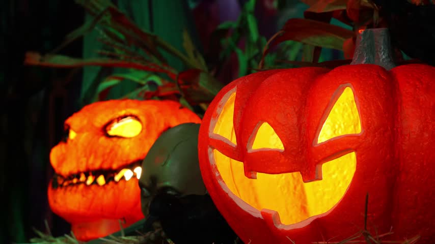 Spooky Halloween decorations with glowing Jack O Lantern pumpkins and a creepy black skull