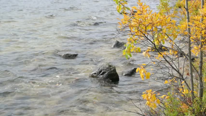 autumn lake water landscape nature shore tree forest season rock day view